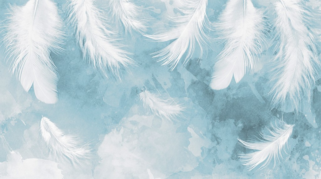 Фотообои Объемные белые перья